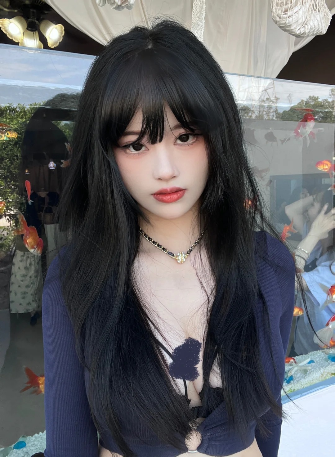 你我都是这池中的鱼