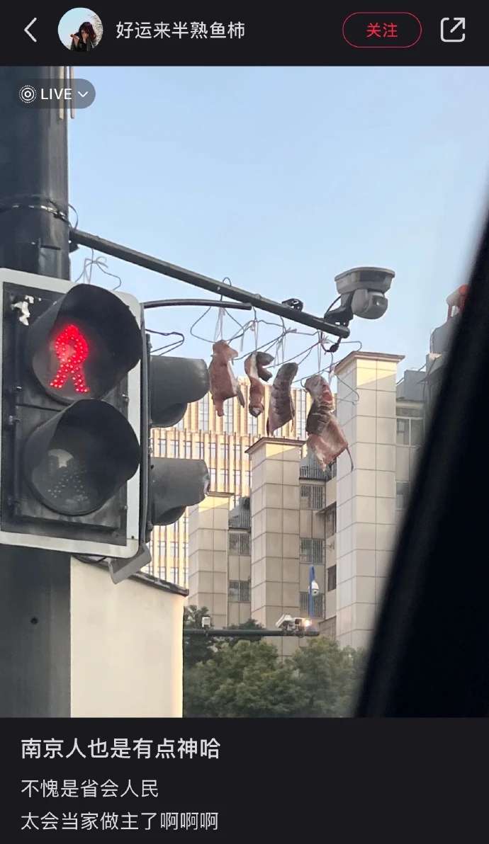 太会当家做主了