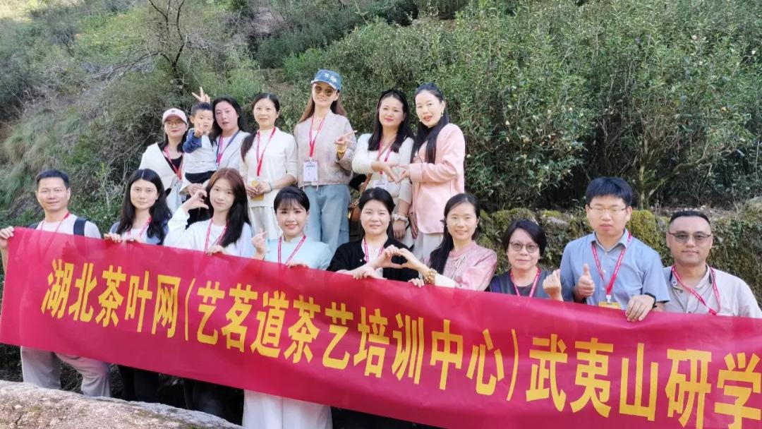 掠影：2024湖北茶叶网武夷山岩茶寻韵茶旅研学圆满成行