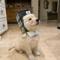 浅笑安然梦如织