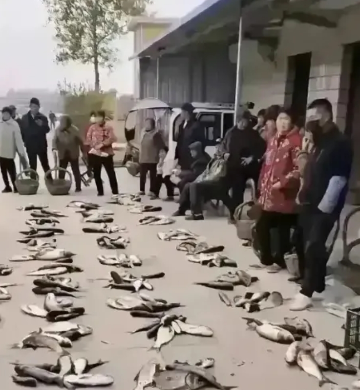 我的个乖乖！照片里这么多的人聚在一起在干嘛？有人知道吗？认识的至少要80后以上了