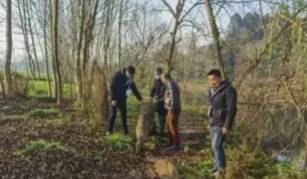 广西，村民杨某胜与韦某星等人因林地发生纠纷，杨某胜情绪激动，手持一把柴刀，猛地挥