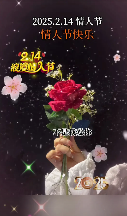 今年情人节的广告语就是，

千人追不如一人疼，
万人宠不如一...

2025.