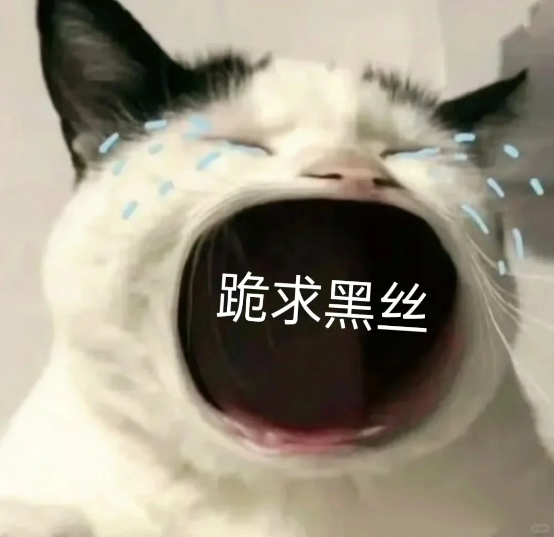 公主们！跪求自然黑丝！！！
真的真的真的想穿黑丝！好喜欢！
不想穿卫衣裤子啦！啦