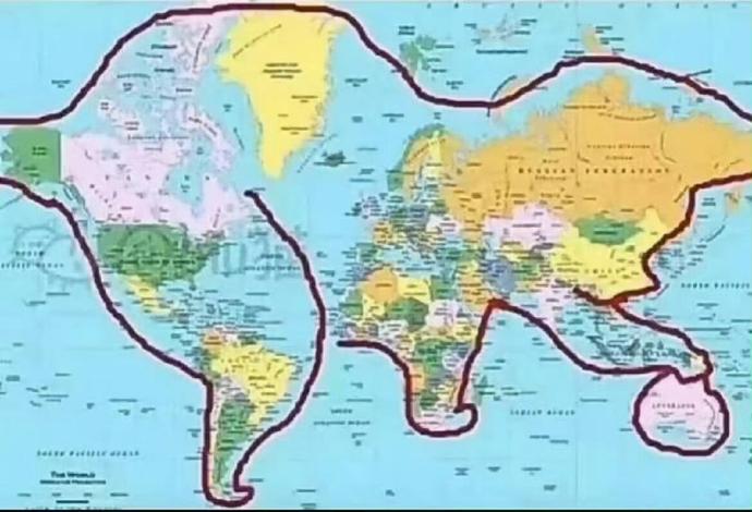 冷知识：世界其实就是一只猫，在玩澳大利亚 ​