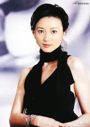 王小丫:事业巅峰期消失,56岁无儿无女,曾在病床上19字留言催人泪下-第4张图片-九妖电影 王小丫:事业巅峰期消失,56岁无儿无女,曾在病床上19字留言催人泪下-第4张图片-九妖电影