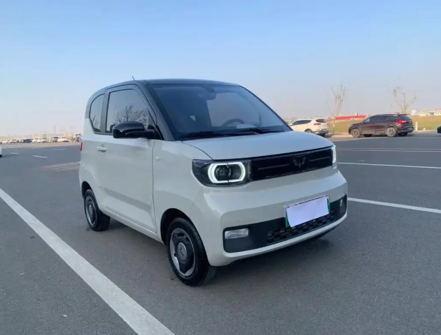 
嫂子送我家一辆五菱宏光MINI EV，她觉得这车续航里程太短，不如送给我媳妇买