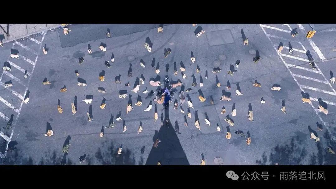 受尽苦难，灵魂依然圣洁《狗神》