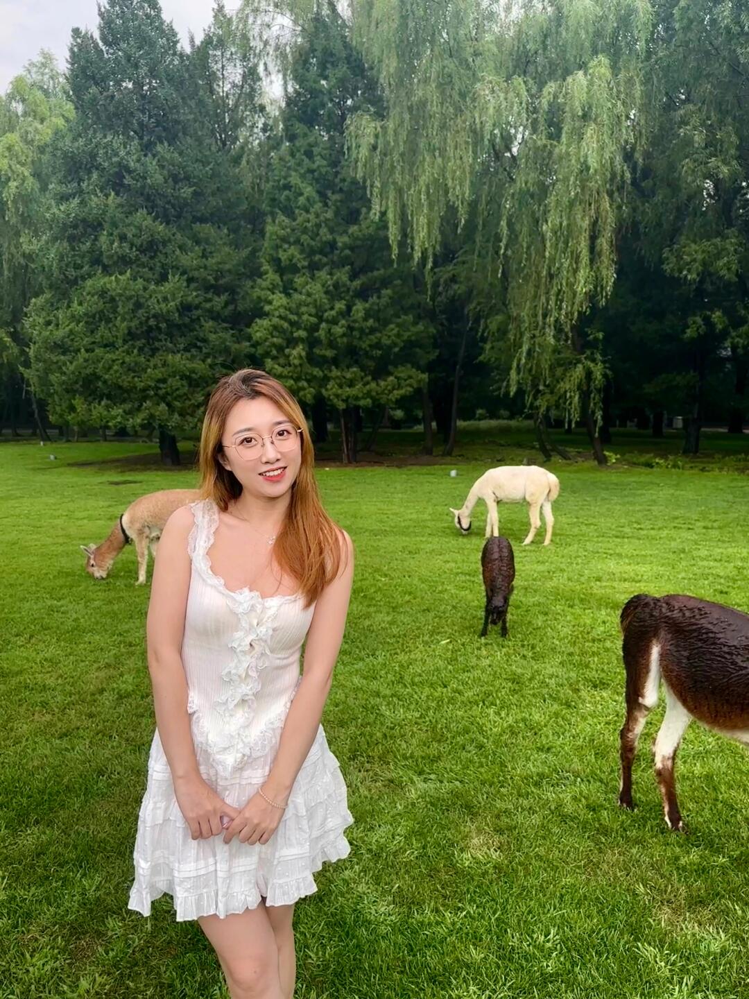 去除班味儿|北京五环内宝藏度假仙境⛱️