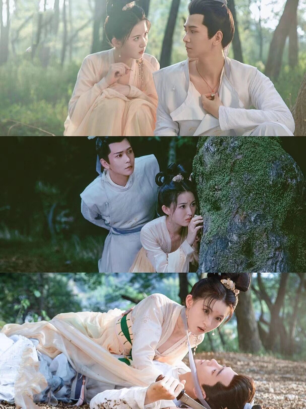 好剧推荐《长生怪谈薄》