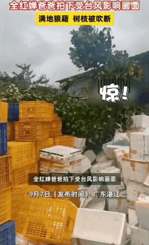 全红婵家中受台风影响