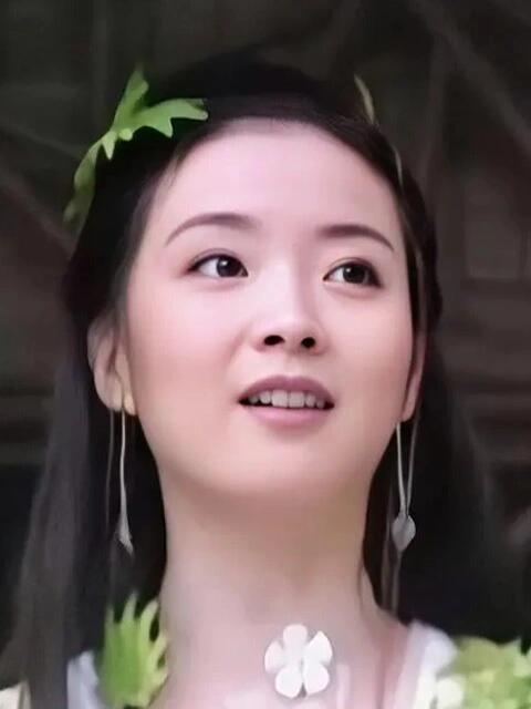 王艳之子：从童星到北大骄子的蜕变