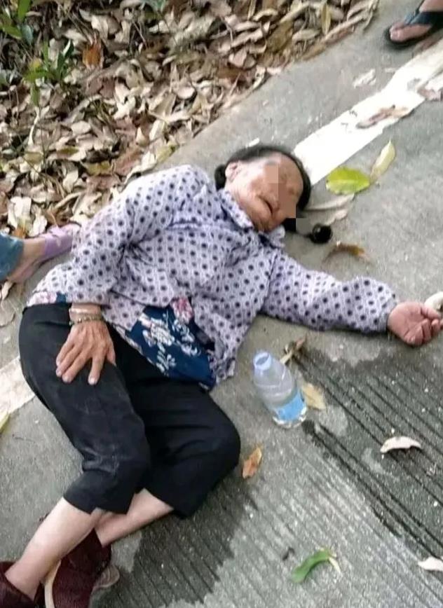 四川达州，9岁小男孩放学回家路上，看到一个摔倒在地的老奶奶。男孩好心去扶，不料却