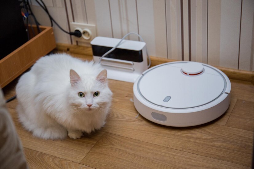 说到养猫，大家都知道猫咪的毛发是个让人头疼的问题。特别是对于我这样一个懒人来说，