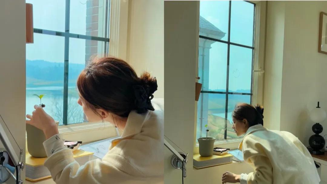 赵露思：从至暗到重生，一段触动人心的旅程