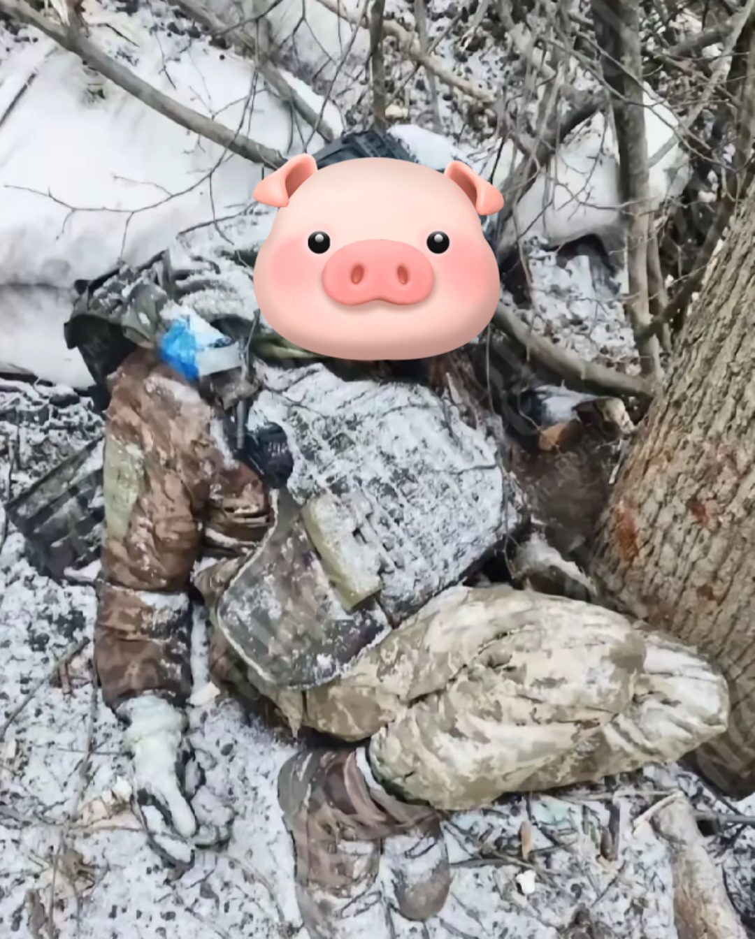 这是网友分享的照片：一名乌克兰士兵战死后，尸体暴露在荒野。如今，美俄抛开乌克兰和