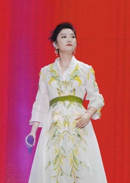 凤凰传奇演唱会大火，显眼包一个接一个出现