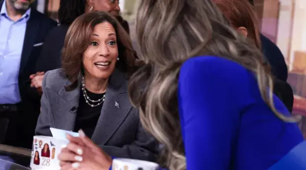 “新人”哈里斯，靠“机会经济”冲击美国首任女总统


