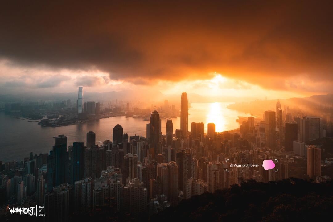 在今年，深圳终于不再是取景框中唯一的主角。