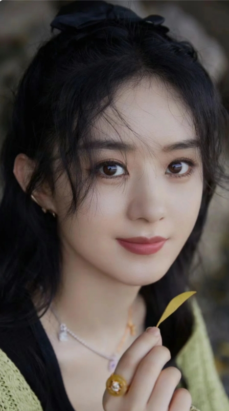 赵丽颖的职业生涯