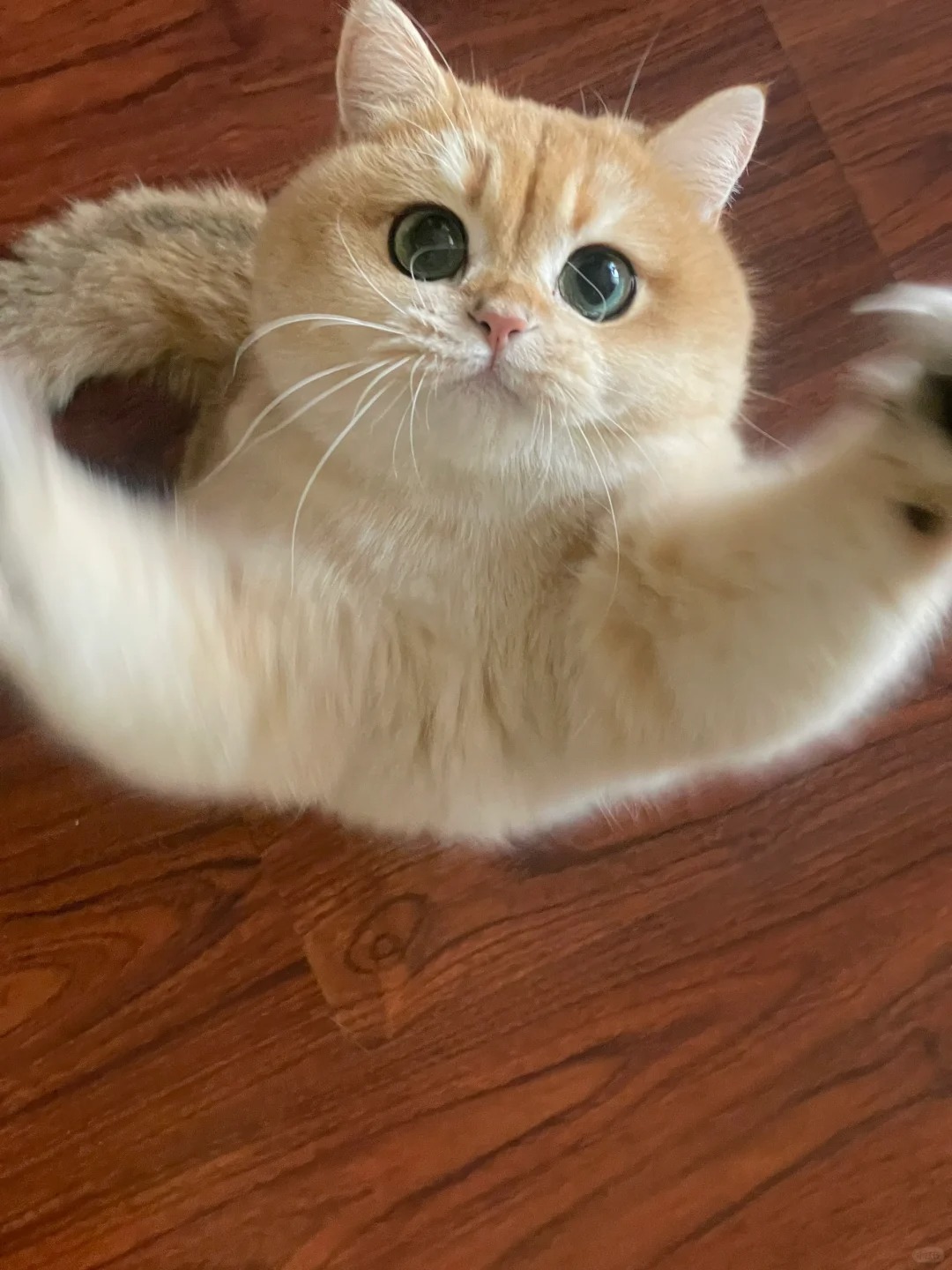 是龙须酥！