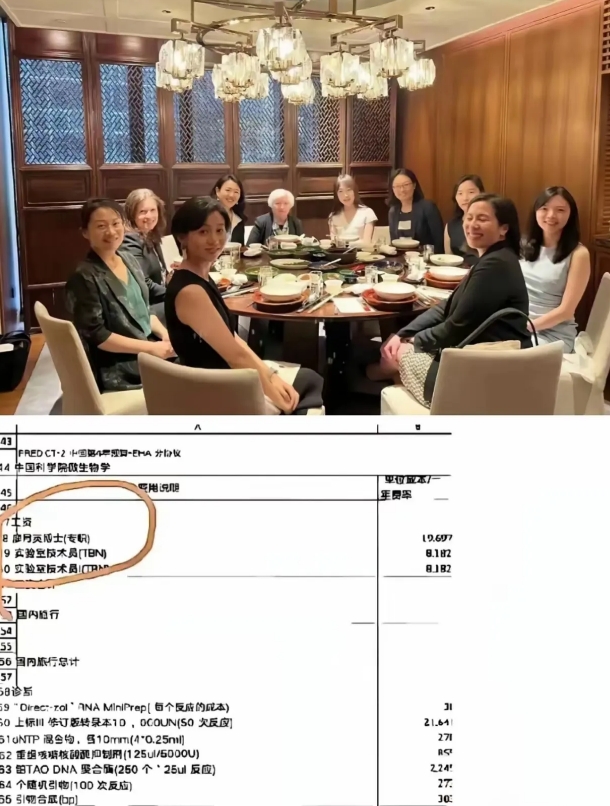 当年耶伦访华，宴请了一众女性，当时觉得没什么，现在看来，这一桌子全是美丽国安插在