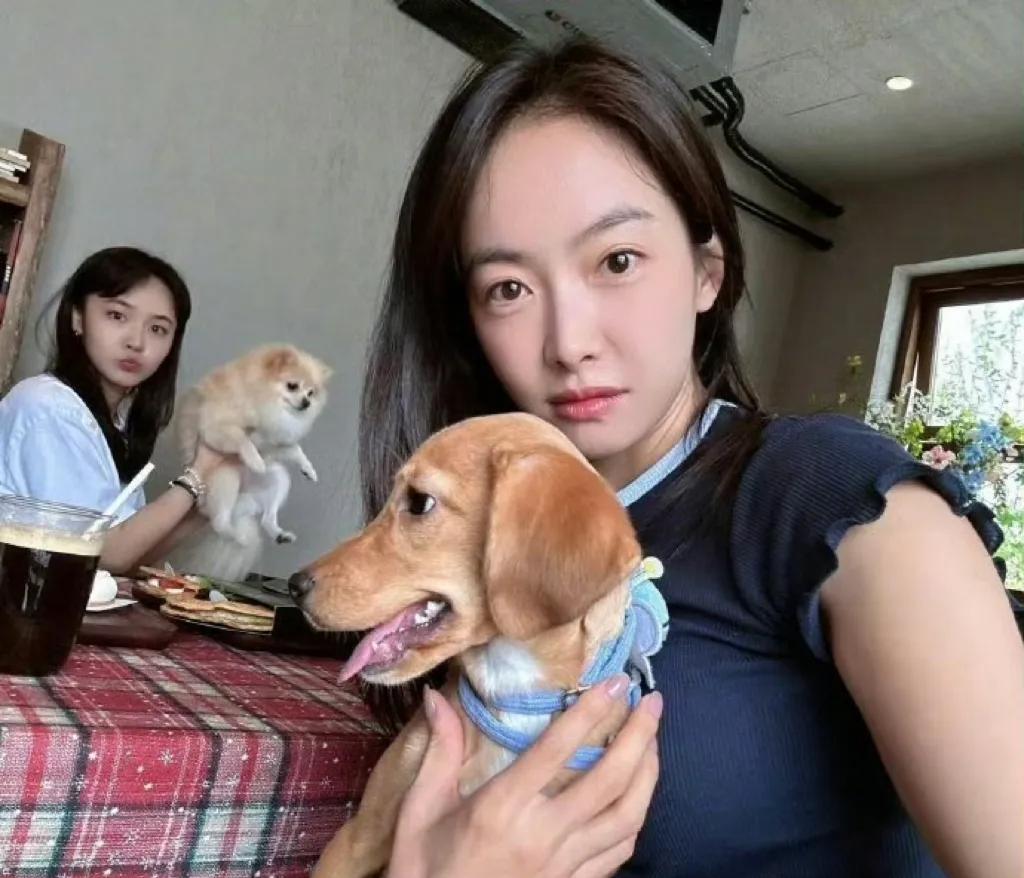 女明星们都好喜欢养狗呀，而且有的会养好几只，宋茜和张佳宁关系不错，私下聚会都会带