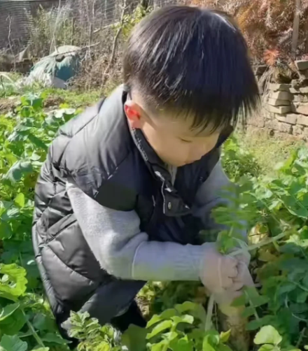 一大早看到家族群里的照片，给我气疯了！外孙从生下来就是我带，从小干干净净没受过一