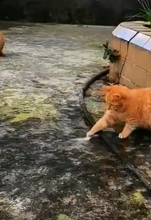 玩了一下午