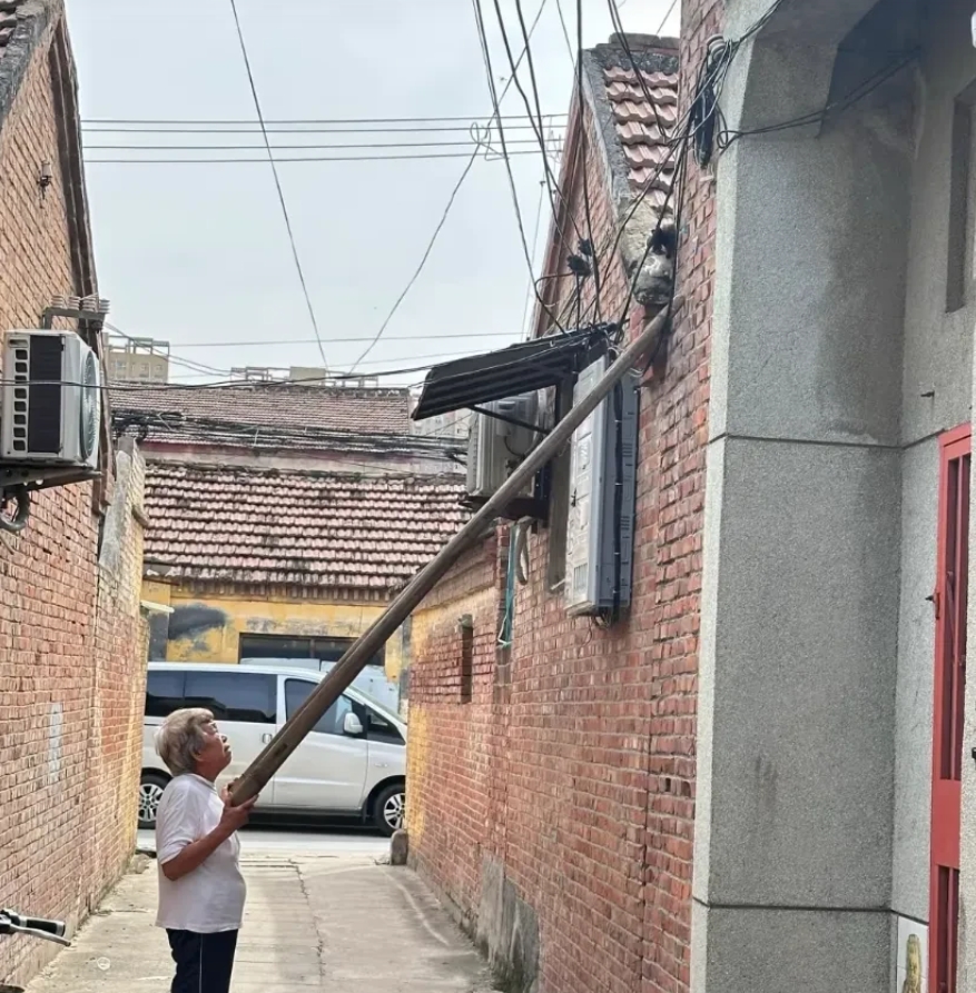 狸花猫真不是谁都能养的。

奶奶在农村捡到了只小狸花，看着可爱就带了回家养。每天
