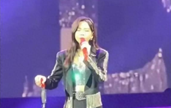 于文文演唱会穿紧身裤，隐私部位轮廓抢镜，网友：有点不体面了！