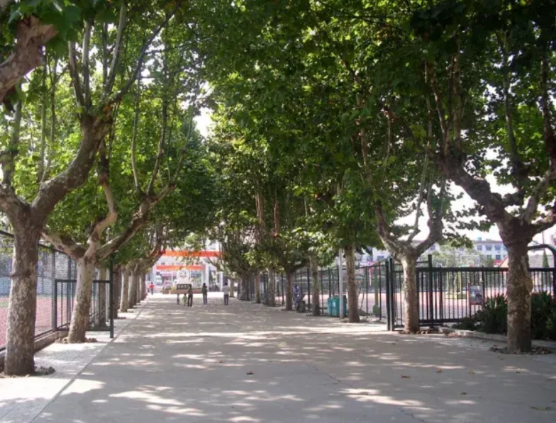 学生缺的是各种花里胡哨的课吗？
又是活力大课间，又是各种花里胡哨的活动课，根本起