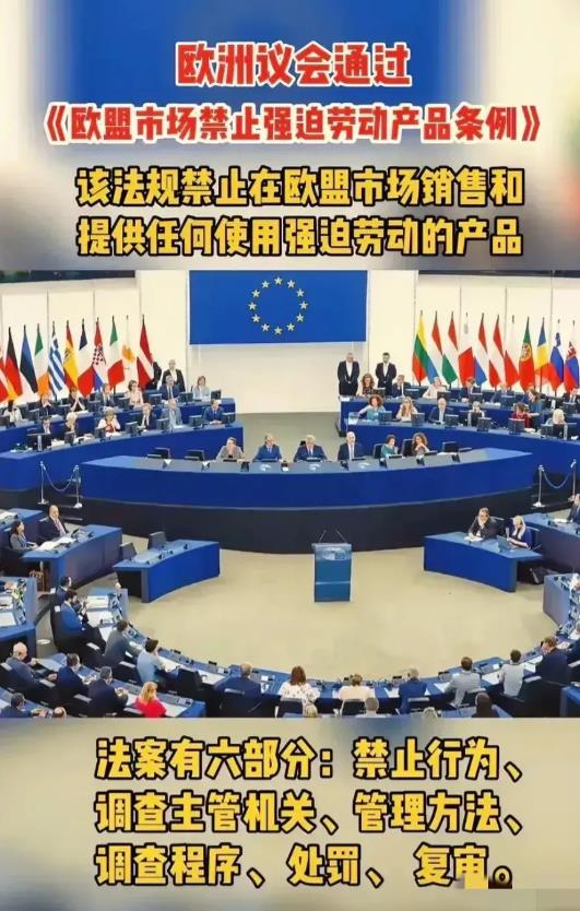 欧盟哭了！
跪求东方大哥，别卷了！
我们老百姓真的是顶不住啊。
这不，因为竞争不