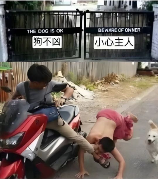 这是受到什么影响了吗？
