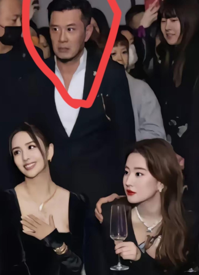 刘亦菲的保镖，太有安全感了！