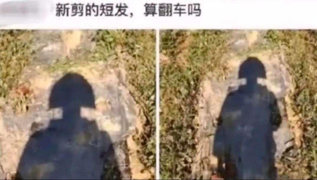 怎么看着像铁锹铲子呢？