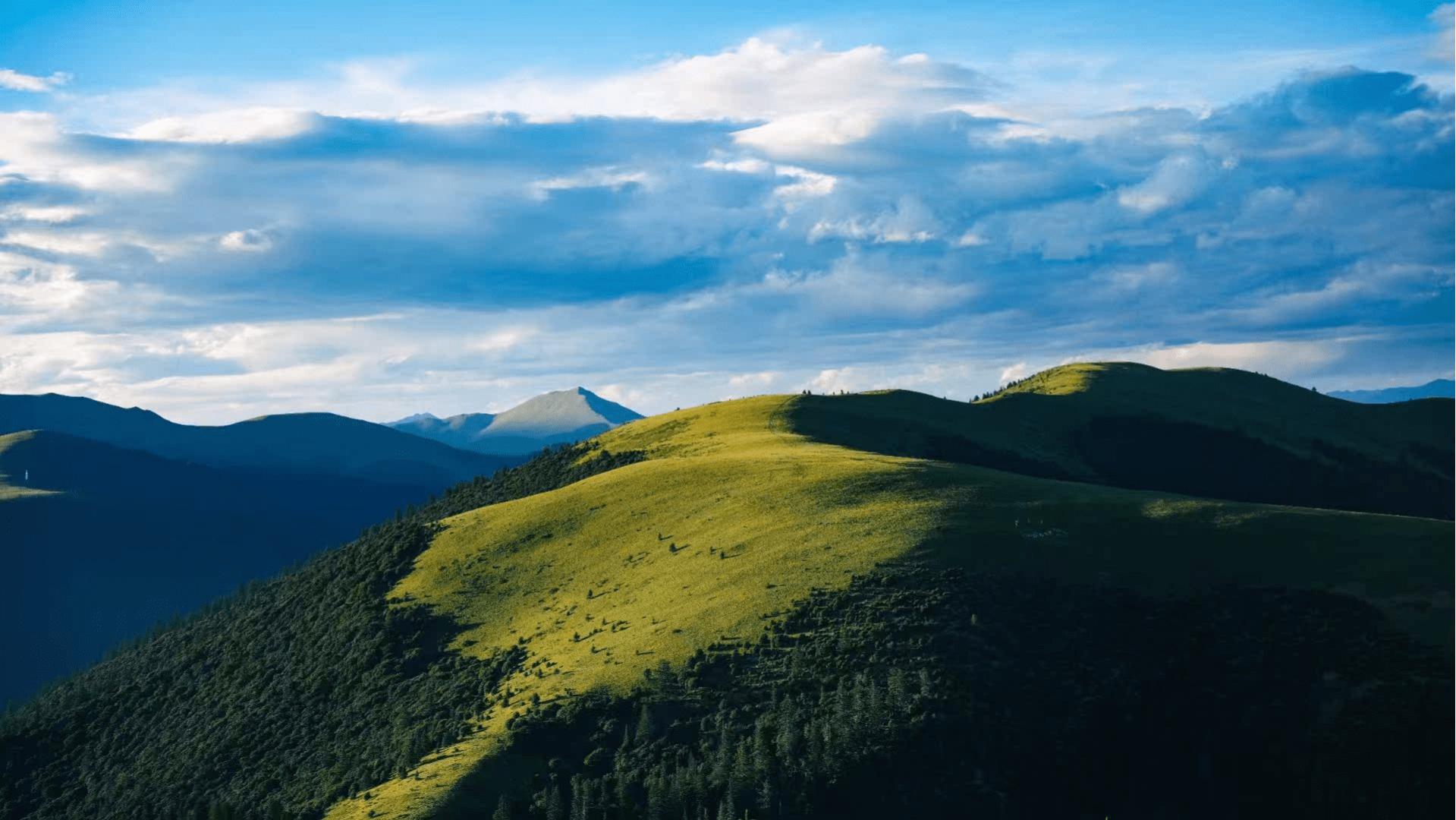 资金分流严重，酒企再迎利空