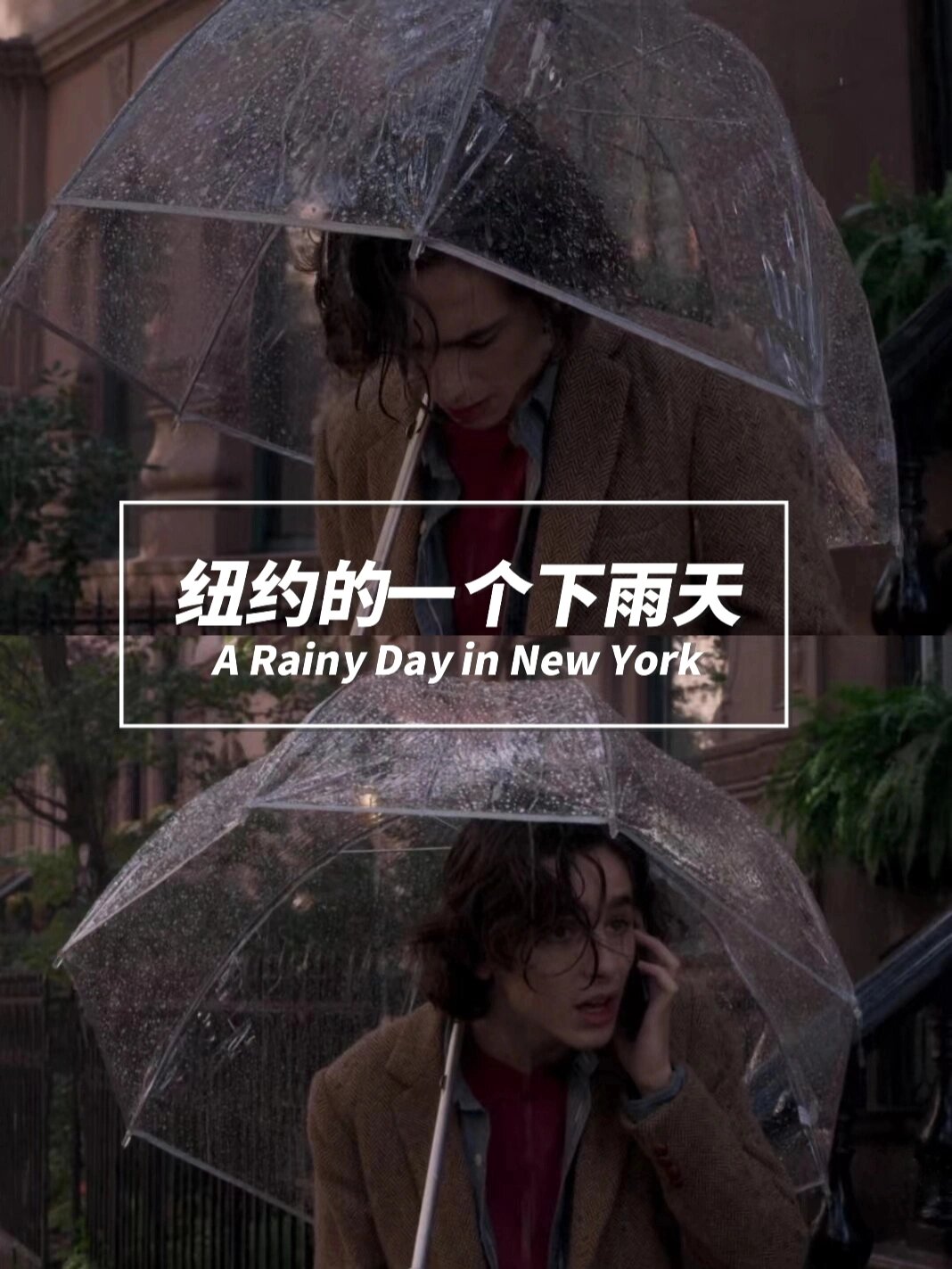 和甜茶来场雨中约会
