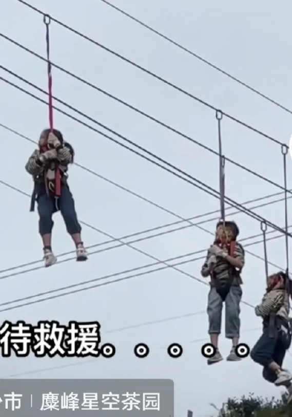 就这画面，请问景区该怎么赔偿？
国庆游玩本来是件很开心的事，但画面中这情景，不知