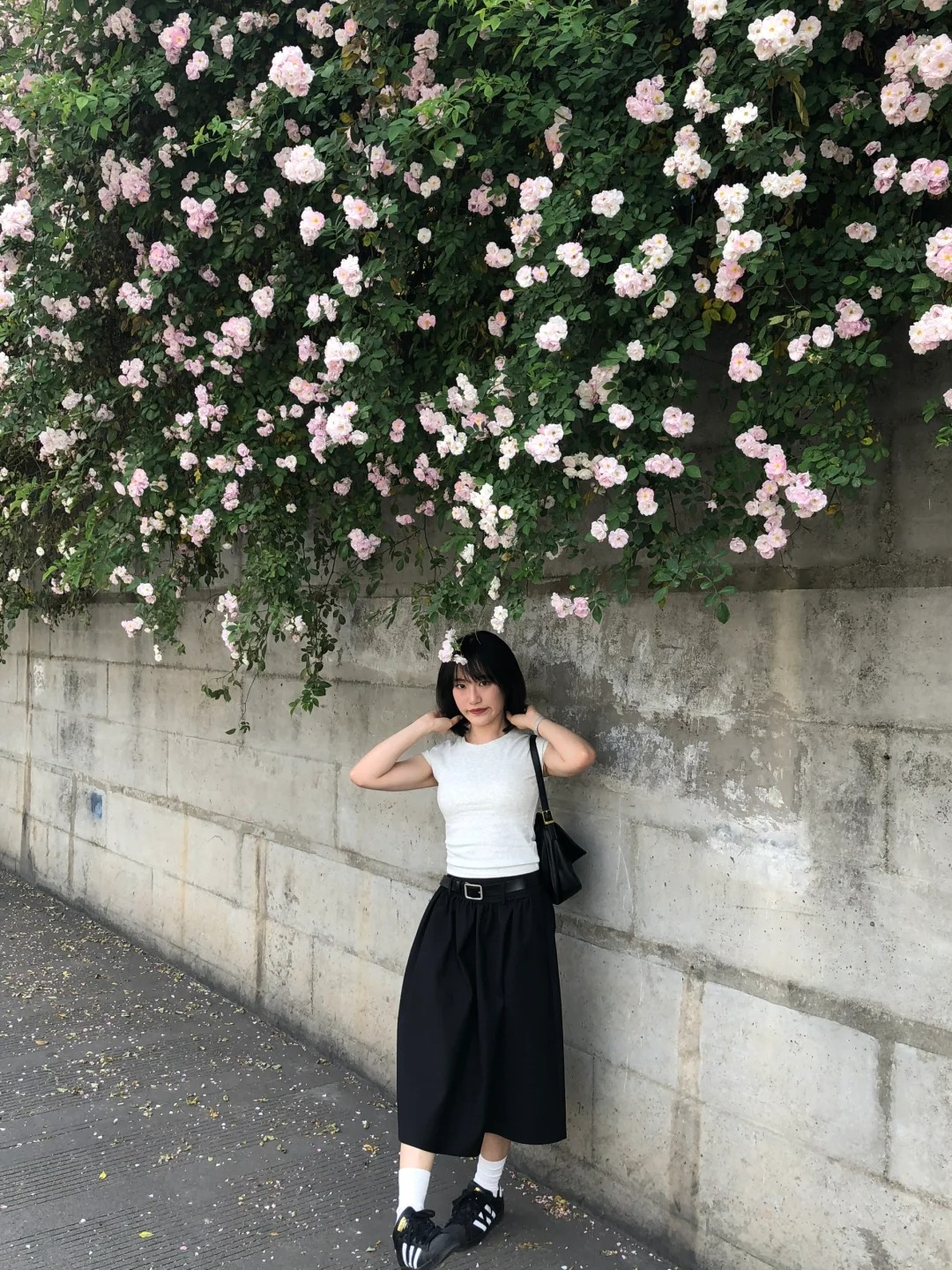 成都百米蔷薇花林！！好像日漫场景啊🎬。。
成都的四月！一定不要错过这篇百米蔷薇