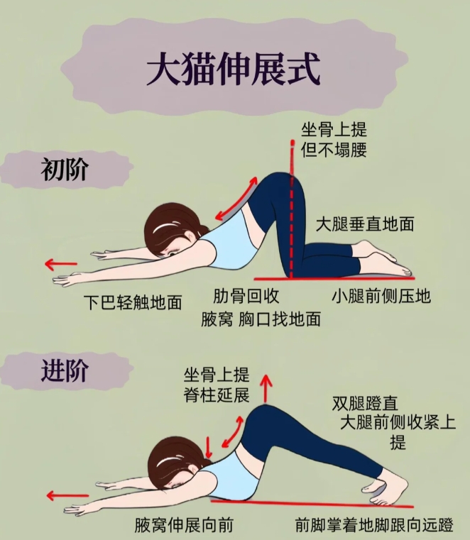  驼背就练这几个动作