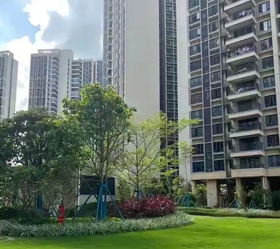 我邻居老两口子人真好，他们给儿子结完婚，并没有待在家里享清福，两口子一个在外当保