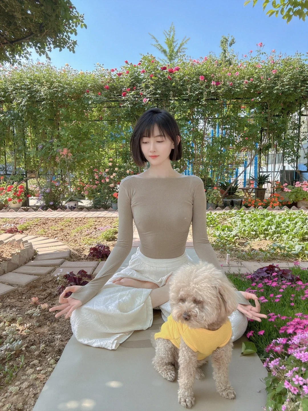 Yoga｜我那爱种花的母亲大人🏕️