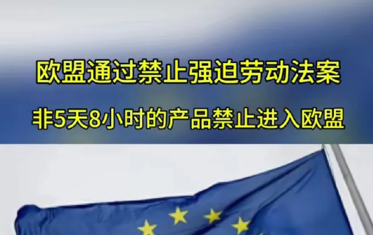 欧盟这事干得漂亮，非5天8小时的产品禁止进入欧盟，下次要是再出台个政策，公务员没