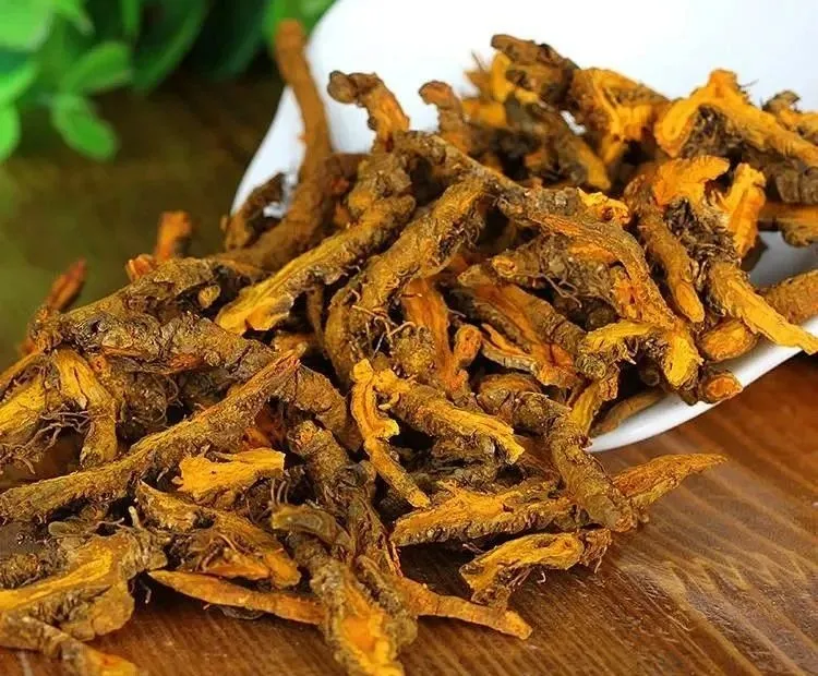 这味中药苦名远扬, 专清心胃之火