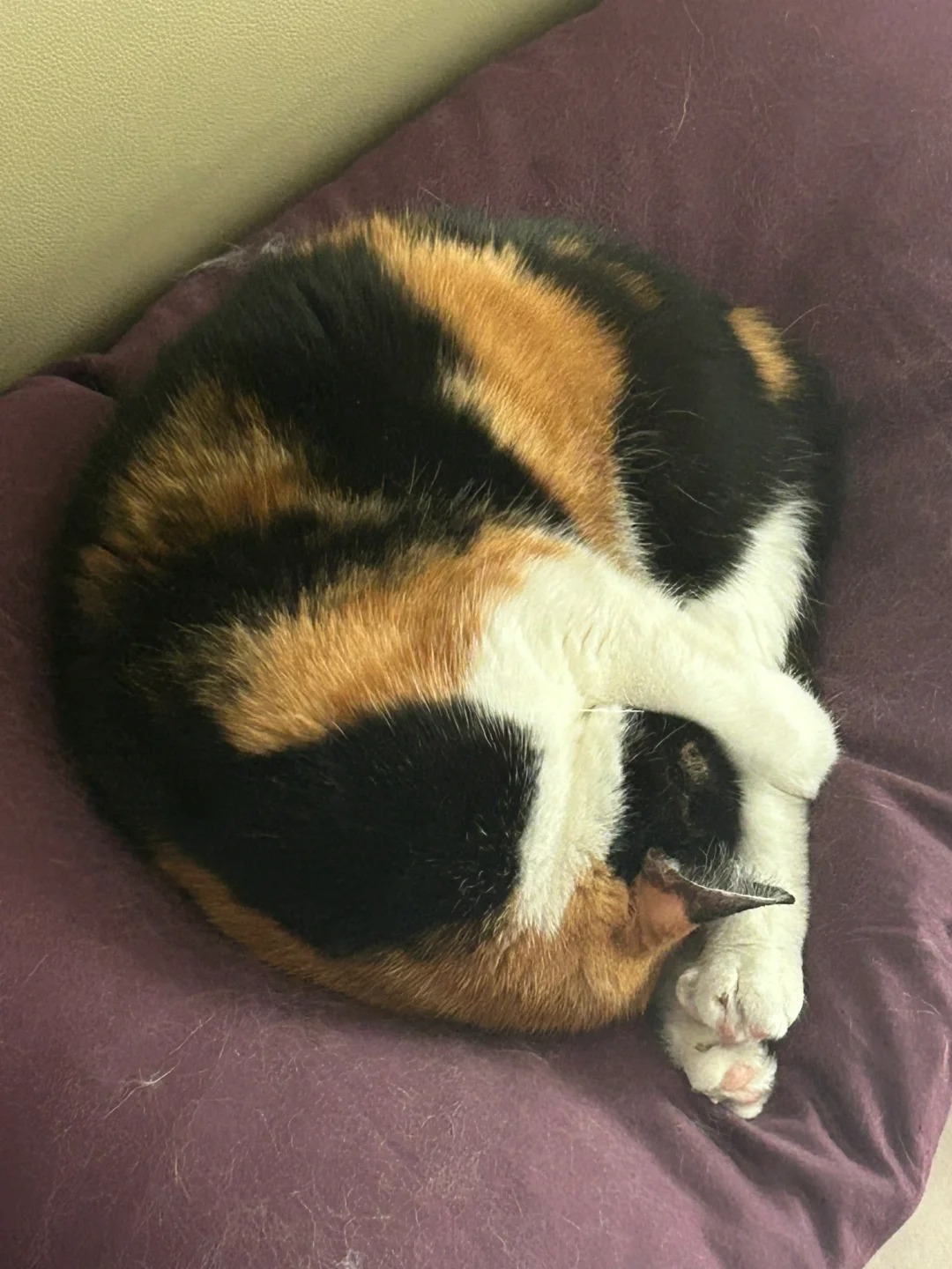 能送孩子去学跳水吗
也不指望她拿奖牌，培养一下兴趣爱好，不然平时在家就是吃饭睡觉