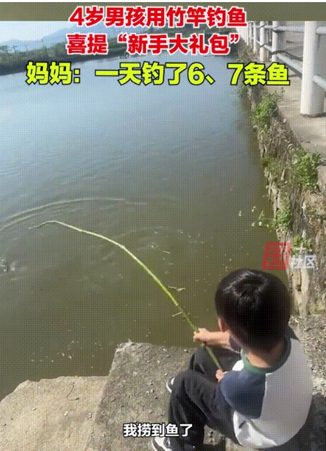 4岁男孩用竹竿钓鱼，喜提“新手大礼包”，妈妈：一天钓了六七条鱼！
 
互联网上流