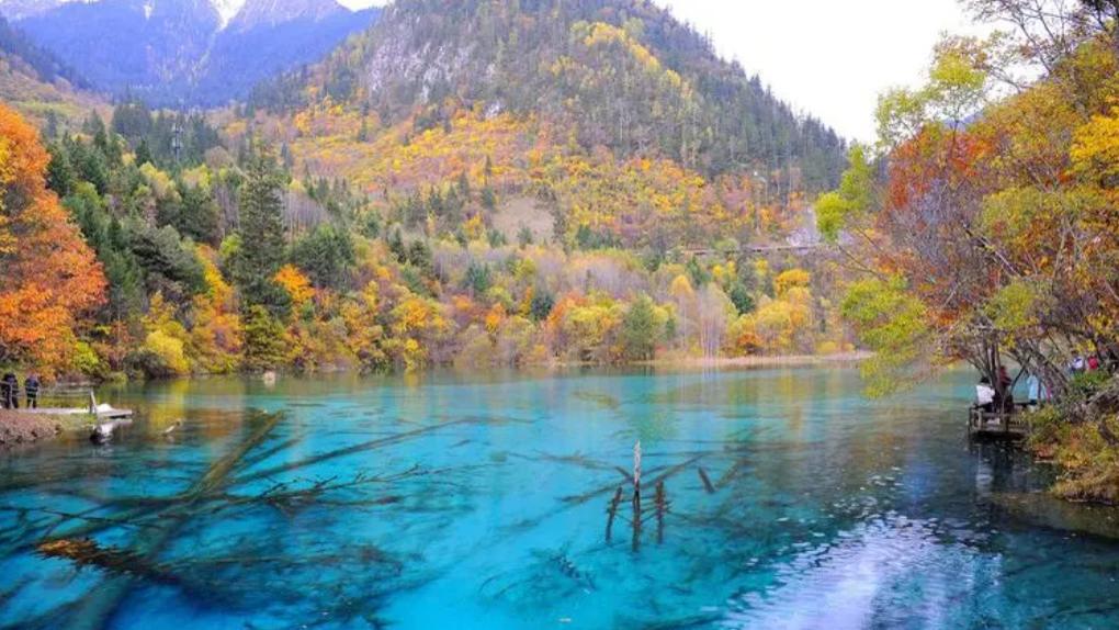 2024年10月1适合去哪里游玩更佳，求推荐