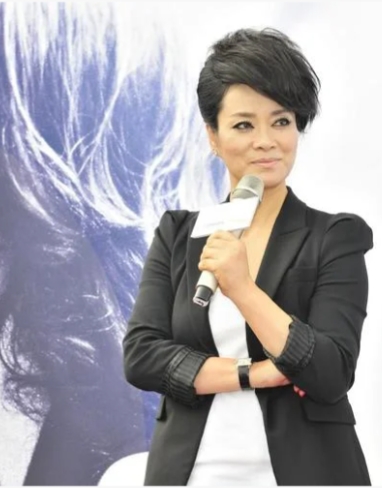 毛阿敏:流行乐女歌唱家