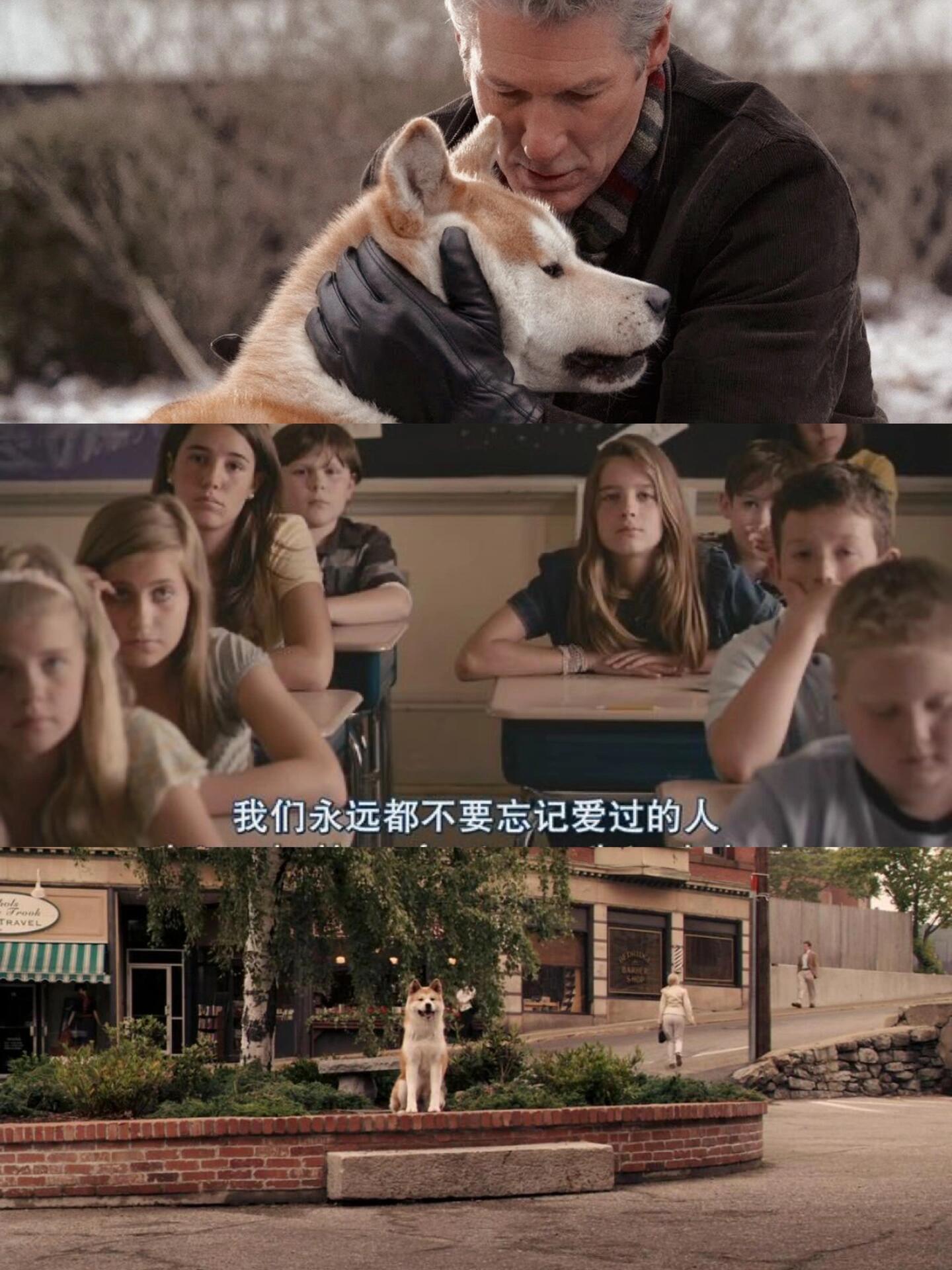 《忠犬八公的故事》：不要忘记你所爱过的